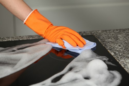 Marks Gate home carpet cleaning for pet odours