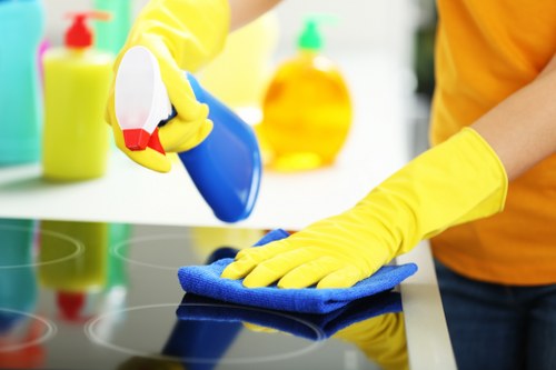 Professional mattress cleaning process in a Marks Gate home